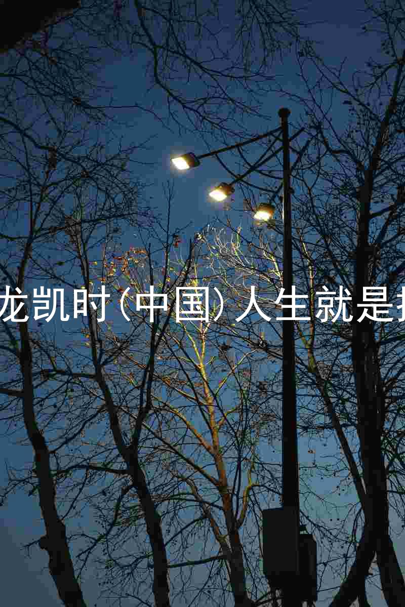 尊龙凯时(中国)人生就是搏!
